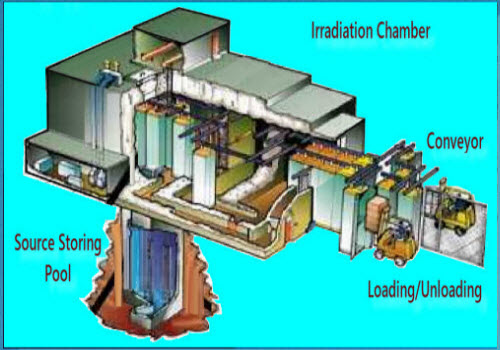 01_Irradiation Facility 01_Irradiation Facility
